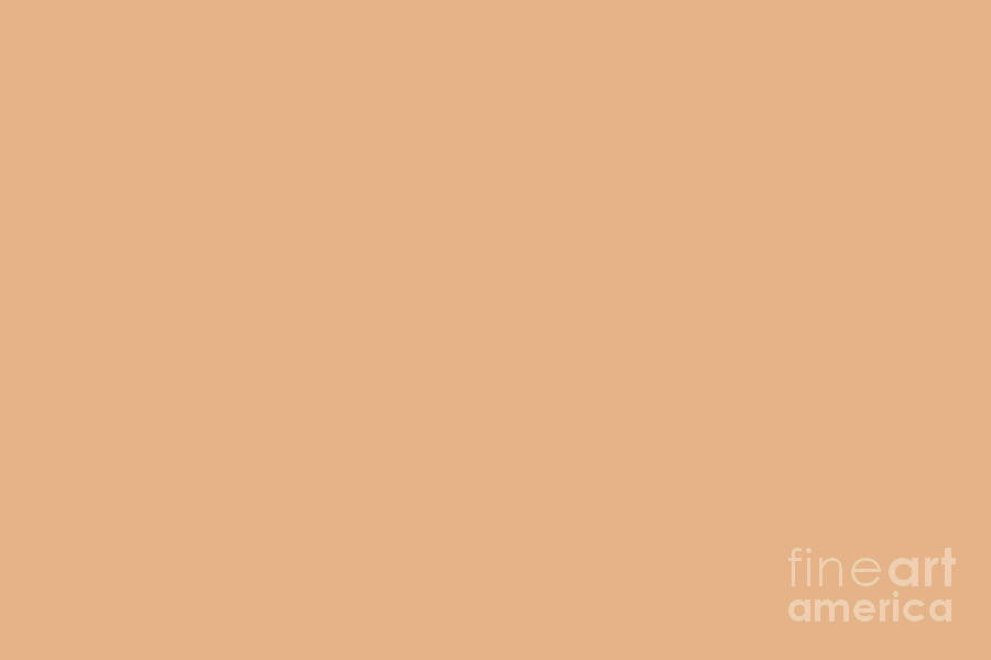 Summer Peach Solid Color Accent Shade Pairs Sherwin Williams Melon Meloso  SW 9007 Digital Art by PIPA Fine Art - Simply Solid - Pixels
