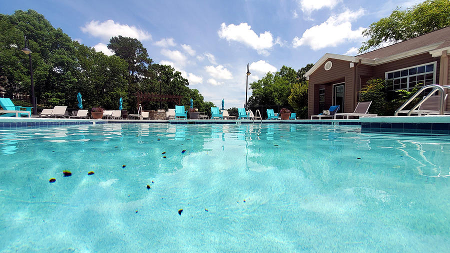 Summer Pool Panorama Photograph by Kenny Glover