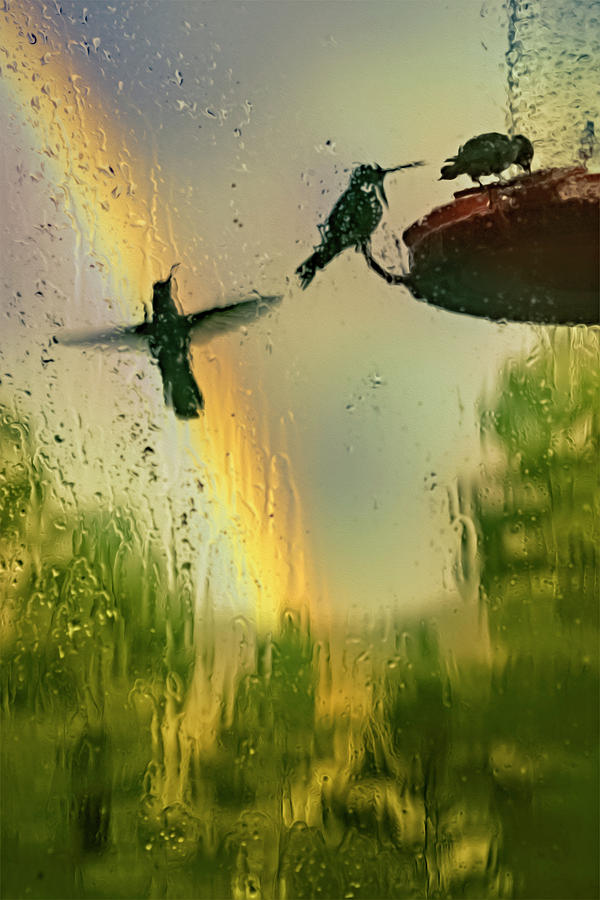 Summer Rain Digital Art by Becky Titus