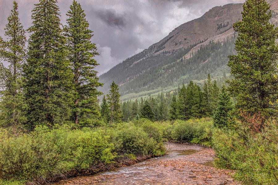 Summer Rain in the Rockies Photograph by Marcy Wielfaert
