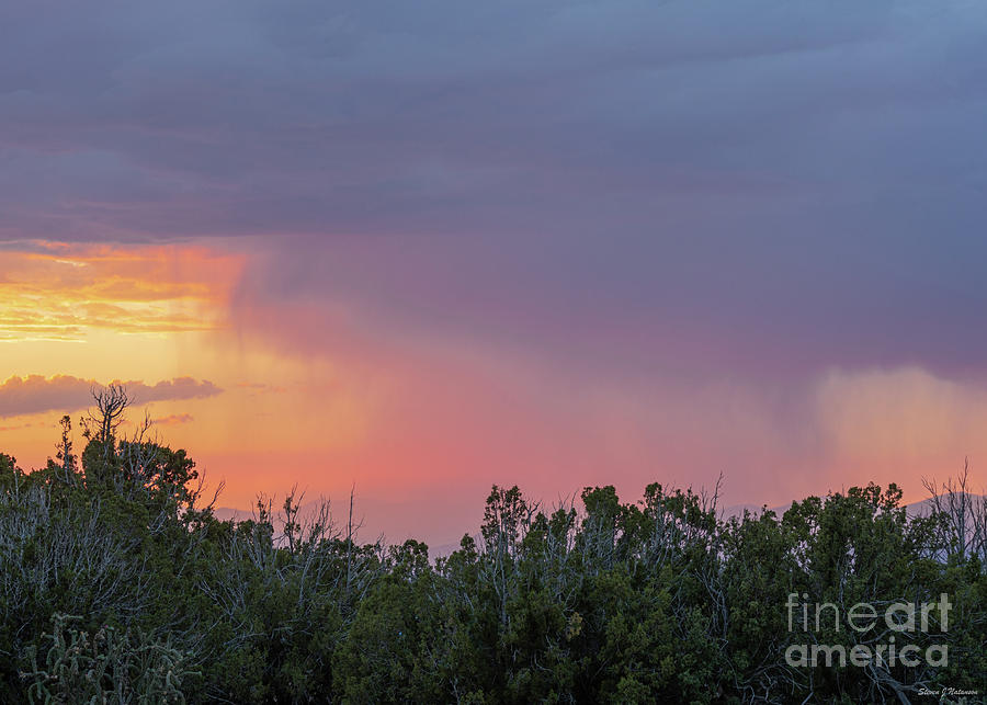Summer Rainfall at Sunset Photograph by Steven Natanson
