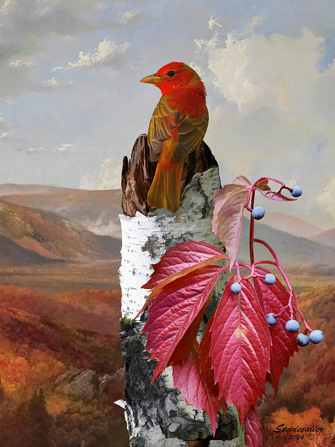 Summer Redbird Portrait Digital Art by Spadecaller