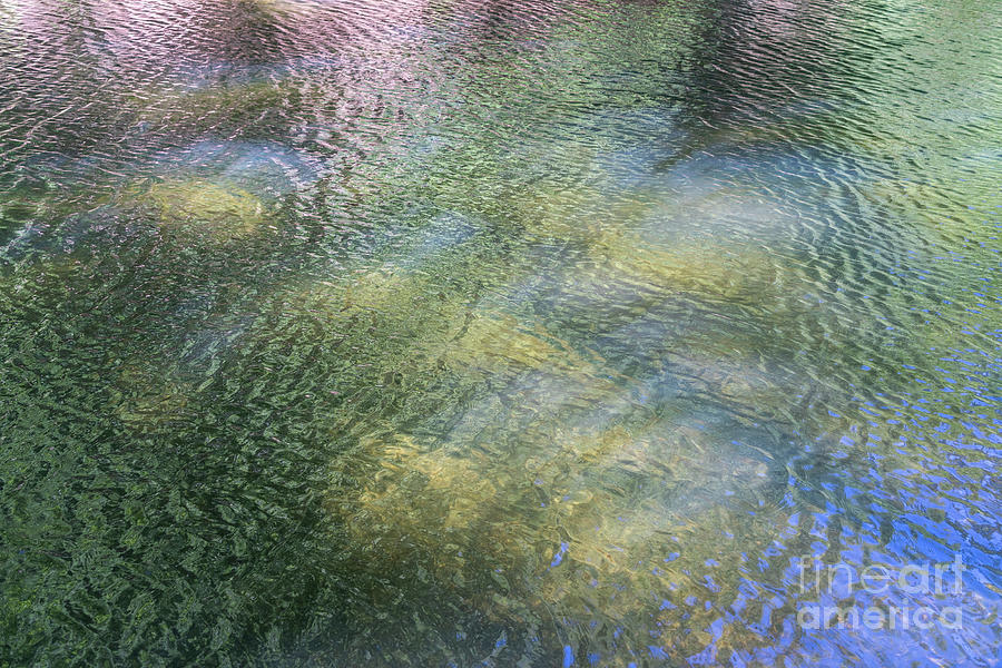 Summer reflection at the lake 1, abstract water surface Photograph by Adriana Mueller