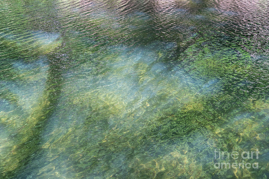 Summer reflection at the lake 2, abstract water surface Photograph by Adriana Mueller