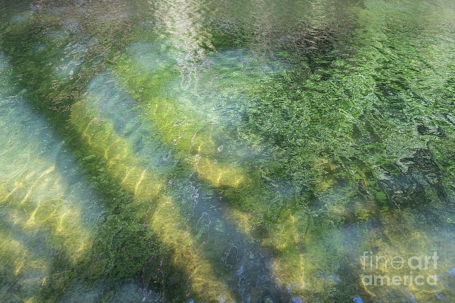 Summer reflection at the lake 3, abstract water surface Photograph by Adriana Mueller