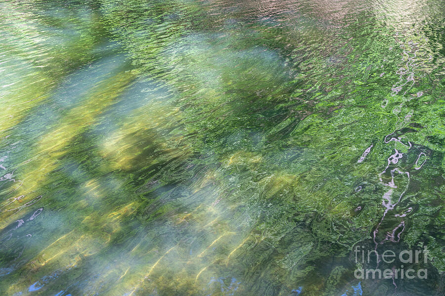 Summer reflection at the lake 4, abstract water surface Photograph by Adriana Mueller