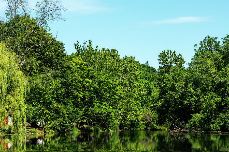 Summer Reflections Photograph by Denise Harty Summer Reflections Photograph by Denise Harty
