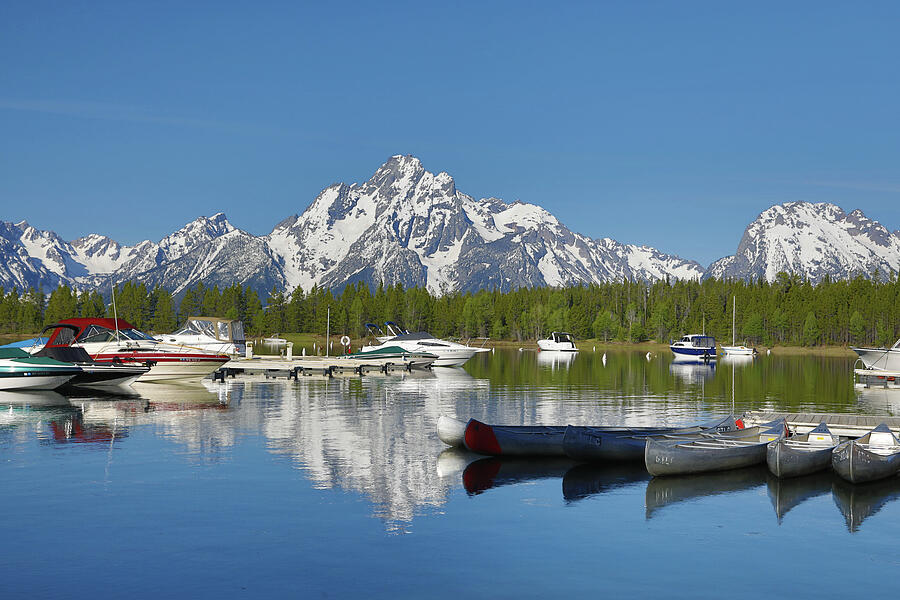 Summer Reflections Grand Teton National Park Photograph by Dan Sproul