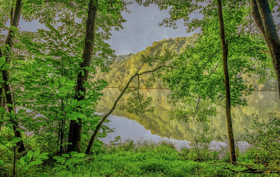 Summer Reflections of Radnor Lake Photograph by Marcy Wielfaert
