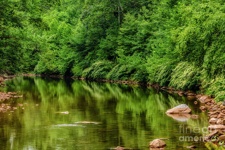 Summer Reflections on Elk River Photograph by Thomas R Fletcher