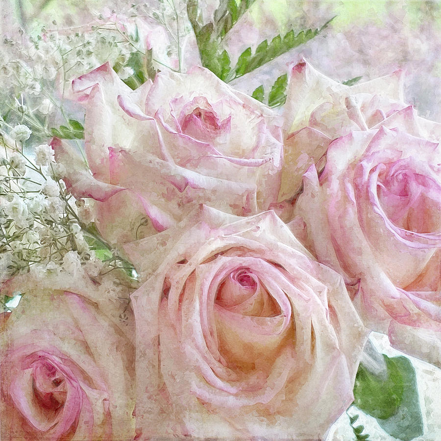 Summer Roses 1 Photograph by Karen Lynch