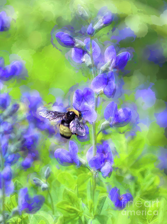 Summer Sensations - Bee in the Flowers Photograph by Kerri Farley