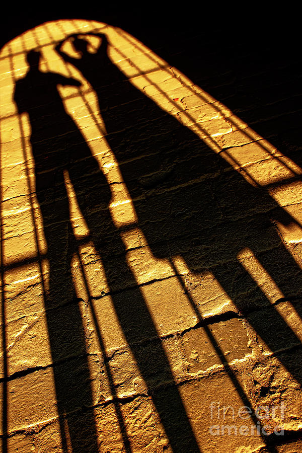 Summer Shadows. Photograph
