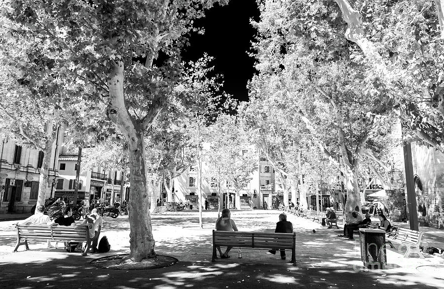Summer Shadows Avignon France Photograph by John Rizzuto