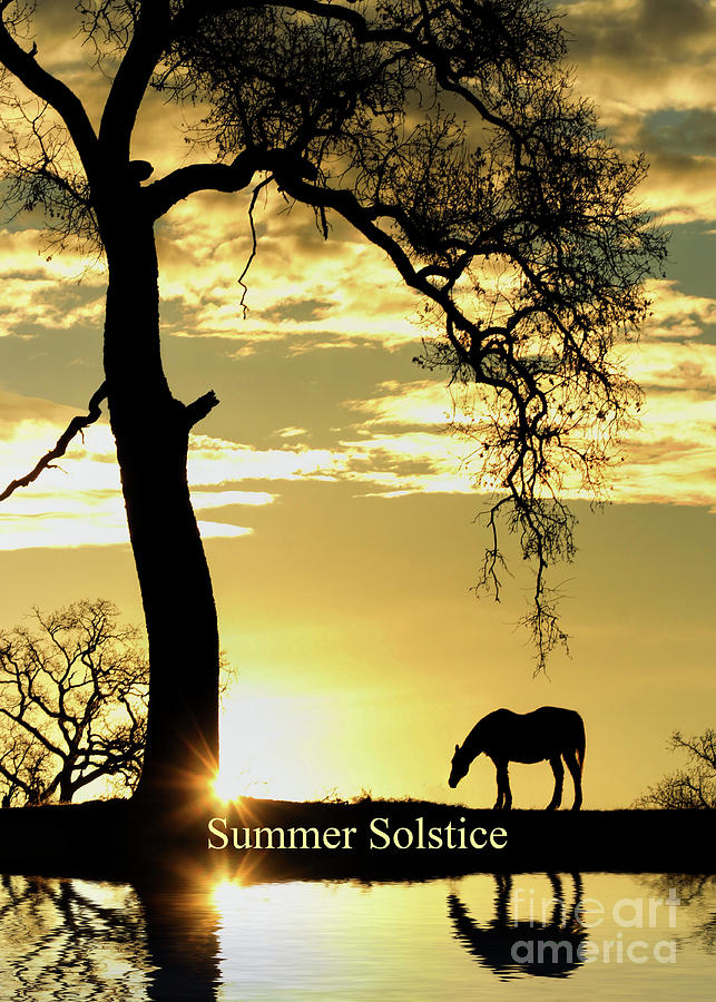Summer Solstice Midsummers Eve Litha with Horse Sun Tree and Water Photograph by Stephanie Laird