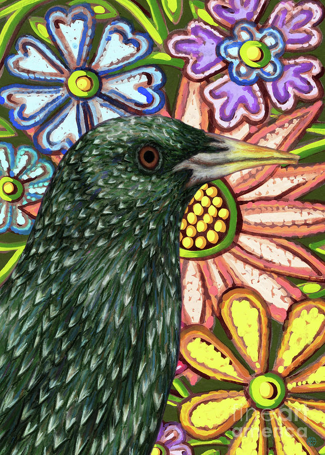 Summer Starling Floral Painting by Amy E Fraser