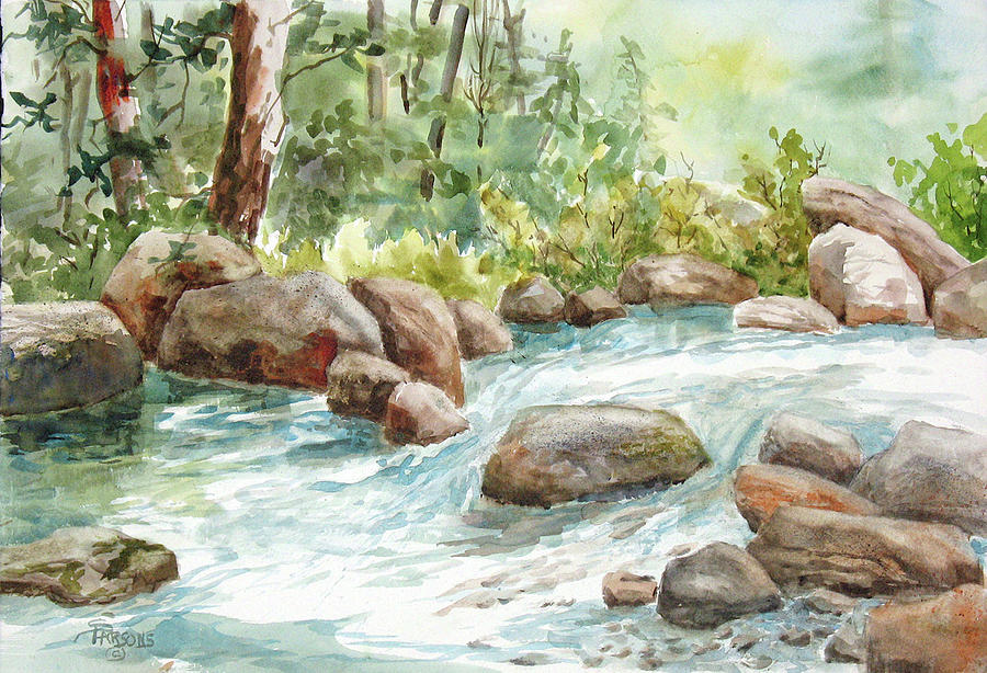 Summer Stream - Broad River #4 Painting by Sheila Parsons