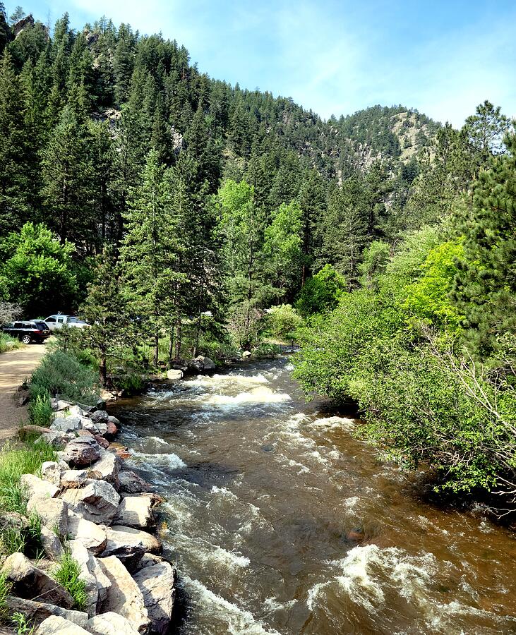Summer Stream in Boulder Photograph by Christopher Hassert - Fine Art ...