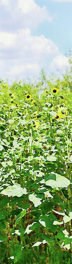 Summer Sunflower Art Vertical Panorama Digital Art by Gaby Ethington