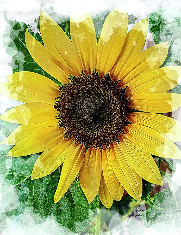 Summer Sunflower Digital Art by CAC Graphics