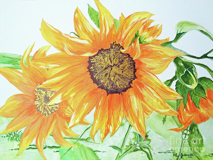 Flower Painting - Summer Sunflowers by NL Galbraith