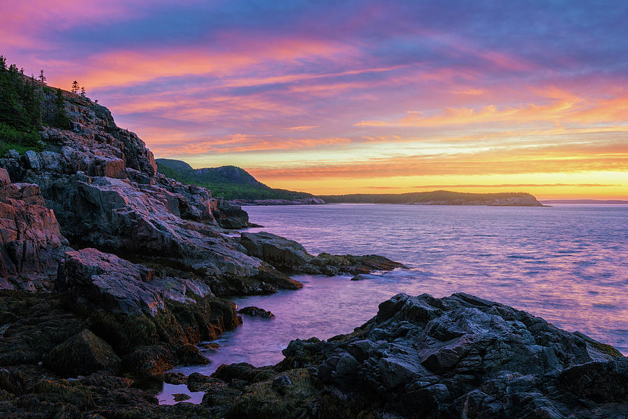 Summer Sunrise at Otter Cliff Photograph by Kristen Wilkinson