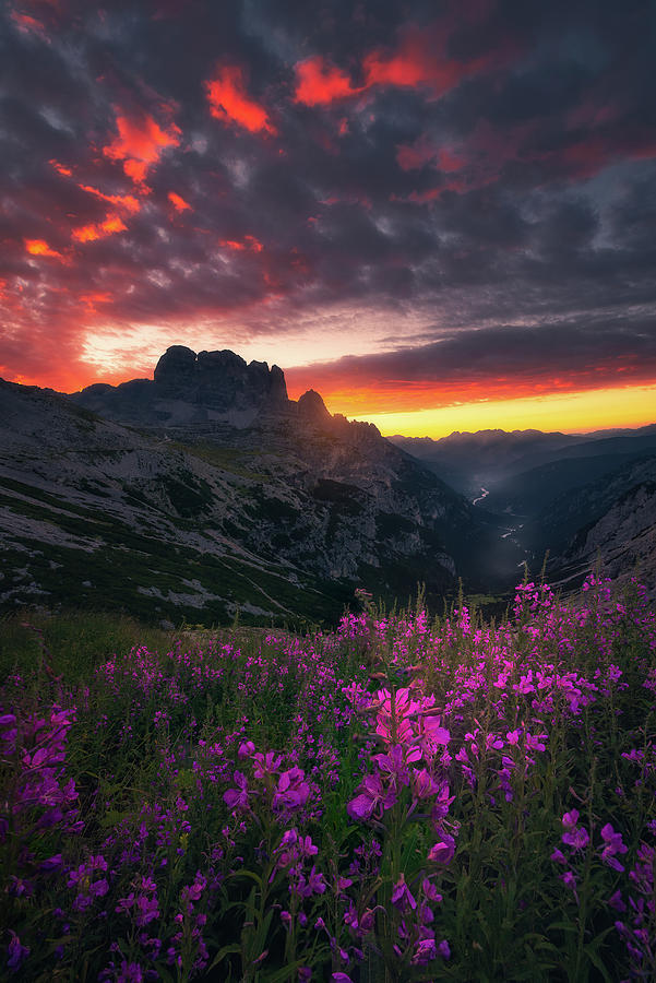 Summer Sunrise in moutains Photograph by Henry w Liu