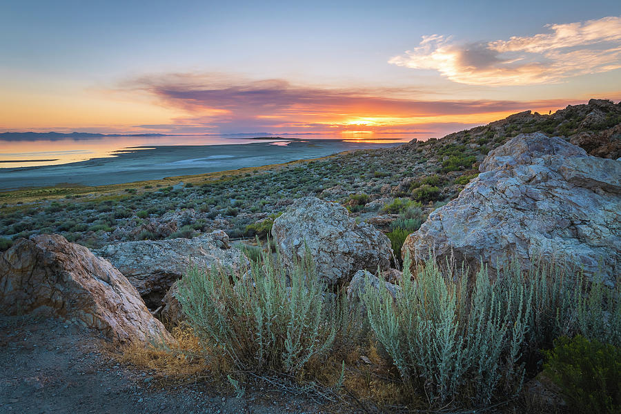 Summer Sunset in the Desert  Photograph by Joan Escala-Usarralde