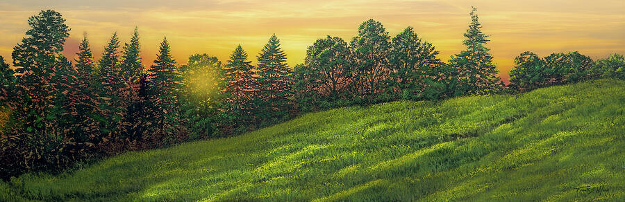 Summer Sunset P Painting by Frank Wilson