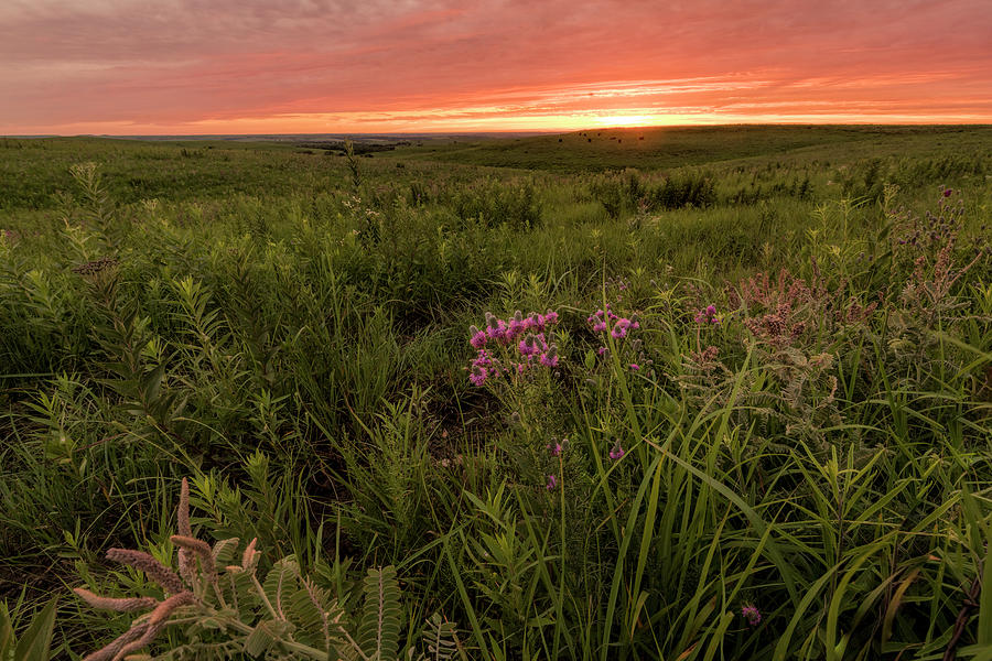 Summer Sunset Photograph by Scott Bean