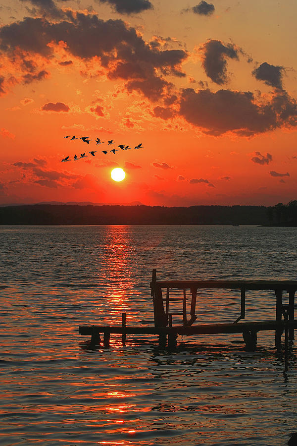 Summer Sunset, Smith Mountain Lake, Virginia Photograph by The James Roney Collection