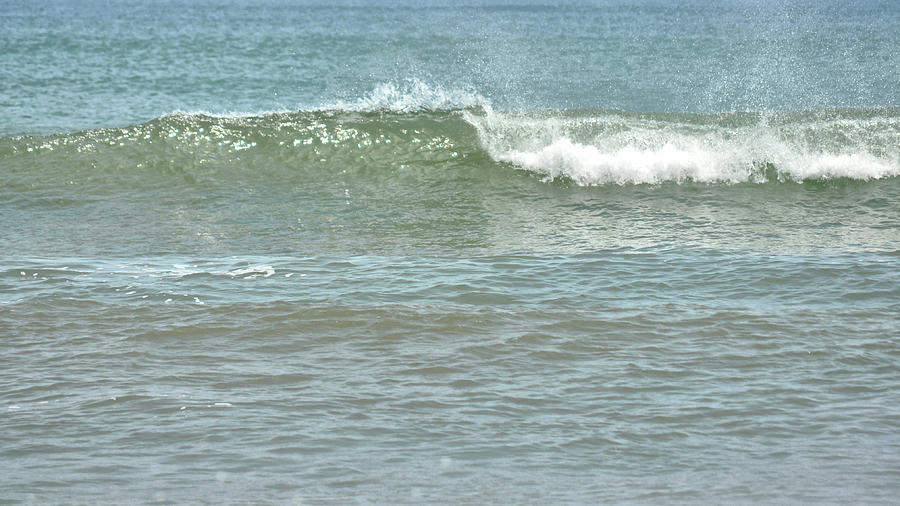 Summer Surf Photograph