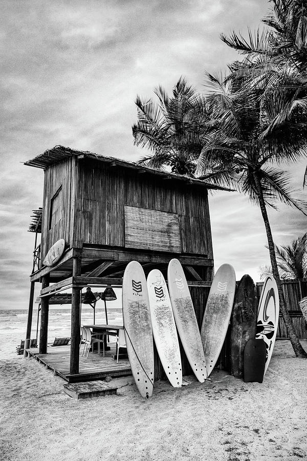 Summer Surf Shack Black and White  Photograph by Debra and Dave Vanderlaan