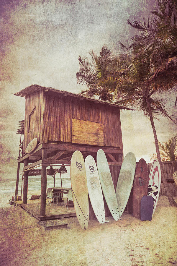 Summer Surf Shack Postcard Photograph by Debra and Dave Vanderlaan