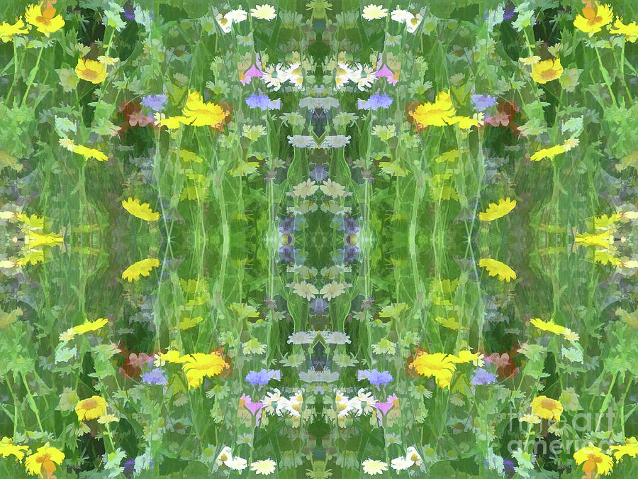 Summer Symmetry 34 Digital Art by David Hargreaves