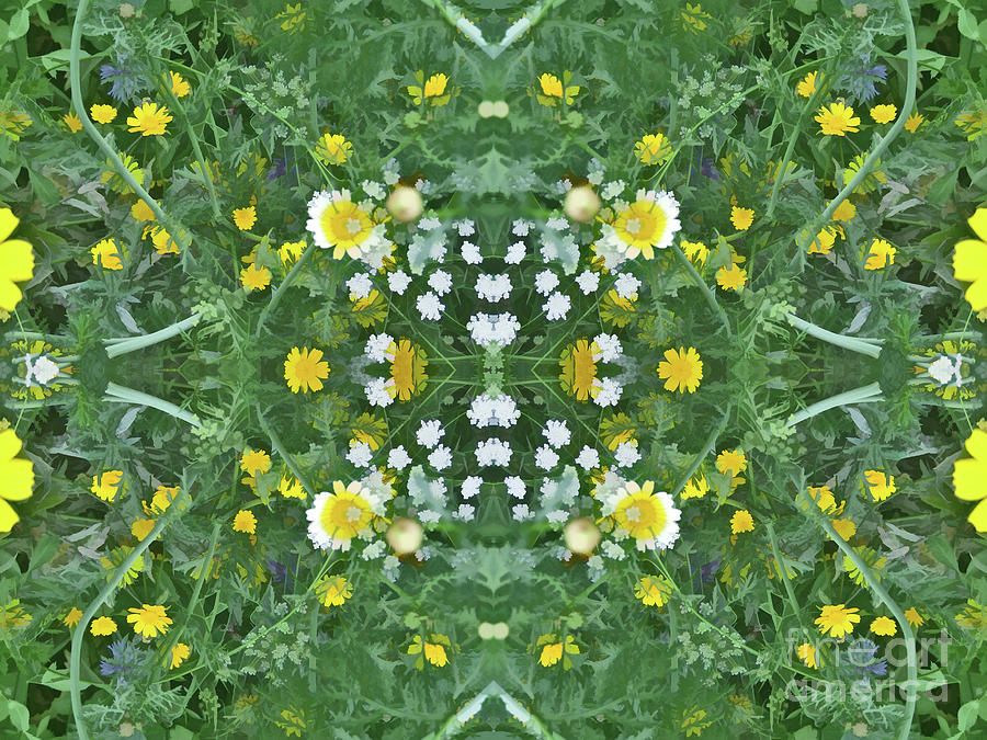 Summer Symmetry 40 Digital Art by David Hargreaves