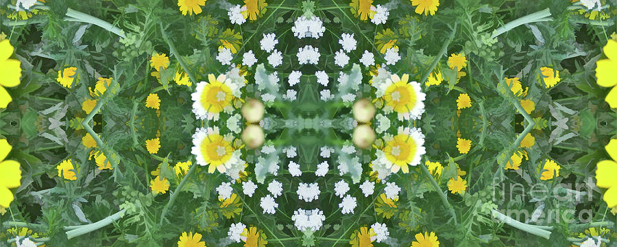 Summer Symmetry - Cycle 25 Digital Art by David Hargreaves