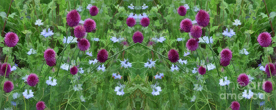 Summer Symmetry - Cycle 28 Digital Art by David Hargreaves
