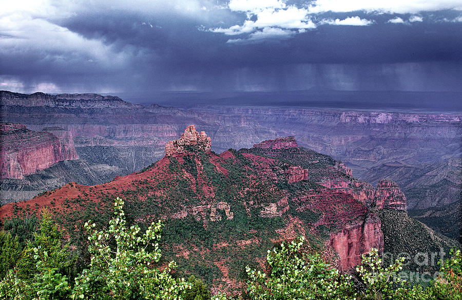 Summer Thunderstorm North Rim Grand Canyon National Park Photograph by Dave Welling