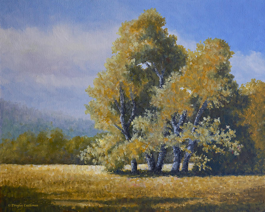 Summer Trees Painting by Douglas Castleman