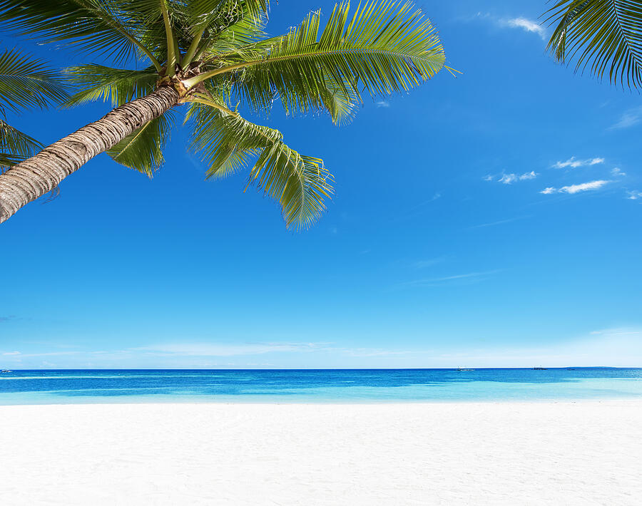 Summer Tropical Paradise Beach Background Photograph by LiuNian