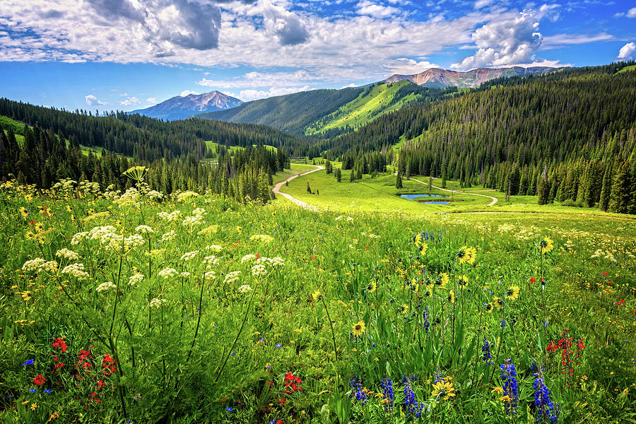 Summer Views in Mount Crested Butte Photograph by Lynn Bauer