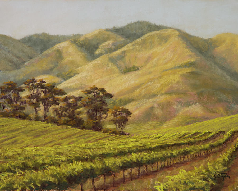 Summer Vineyard Painting by Jim Tyler