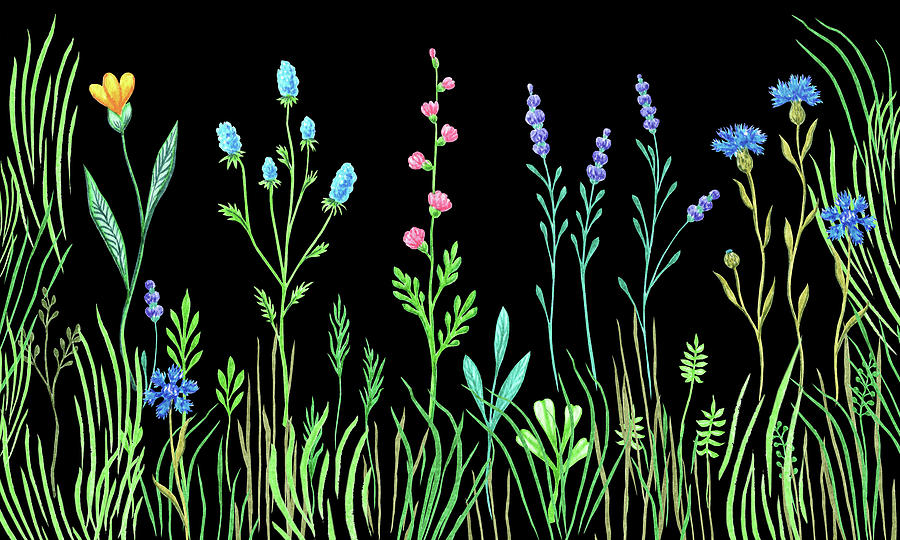 Summer Wildflowers In The Field Watercolor On Black  Painting by Irina Sztukowski