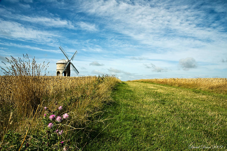 Summer windmill Photograph by David Dean Photography