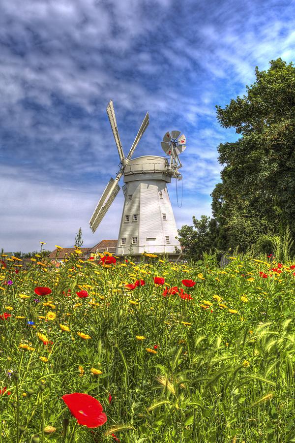 Summer Windmill Poppies  Photograph by David Pyatt
