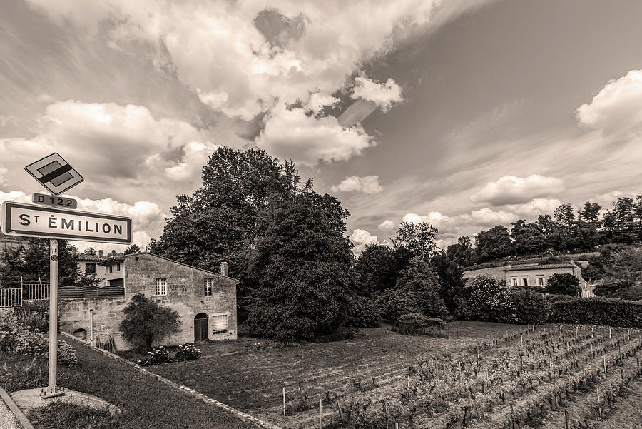 Summer Wine Country in Sepia Photograph by Georgia Clare