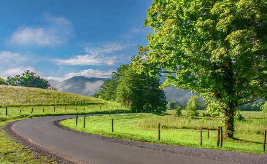 Summer Wonderful in Cades Cove Photograph by Marcy Wielfaert