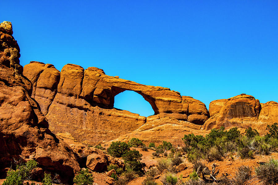 Summers Arch Photograph by Double AA Photography