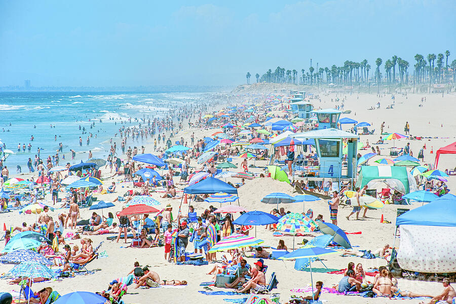 Summers to Remember in California Photograph by David Zanzinger